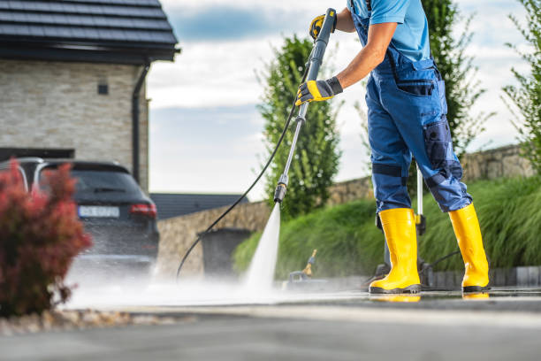 Best Dumpster Area Cleaning  in Marissa, IL